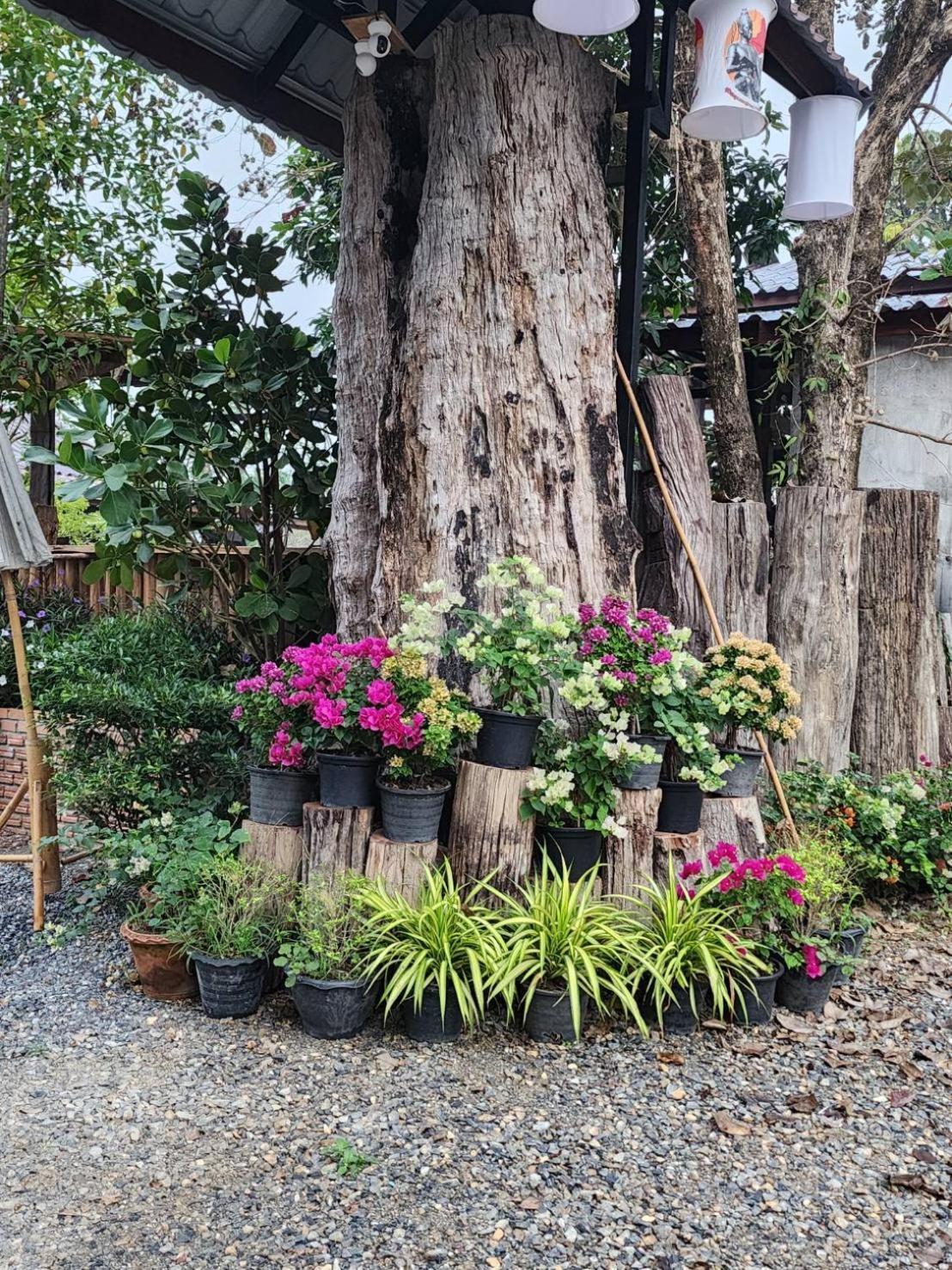 Suk Sabai Homestay スコタイ エクステリア 写真